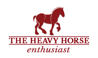 Heavy Horse Enthusiast