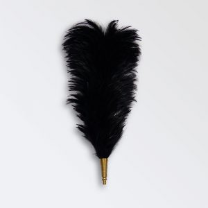 Feather Plumes Black or White