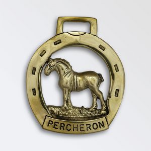 Percheron Stallion in Horse Shoe