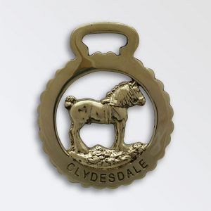 BUCKINGHAMSHIRE      Horse brass N719