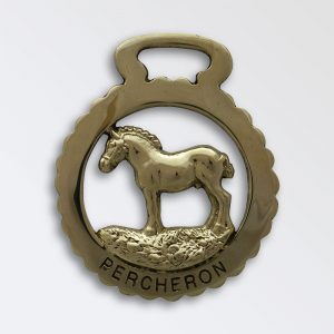 Percheron Stallion